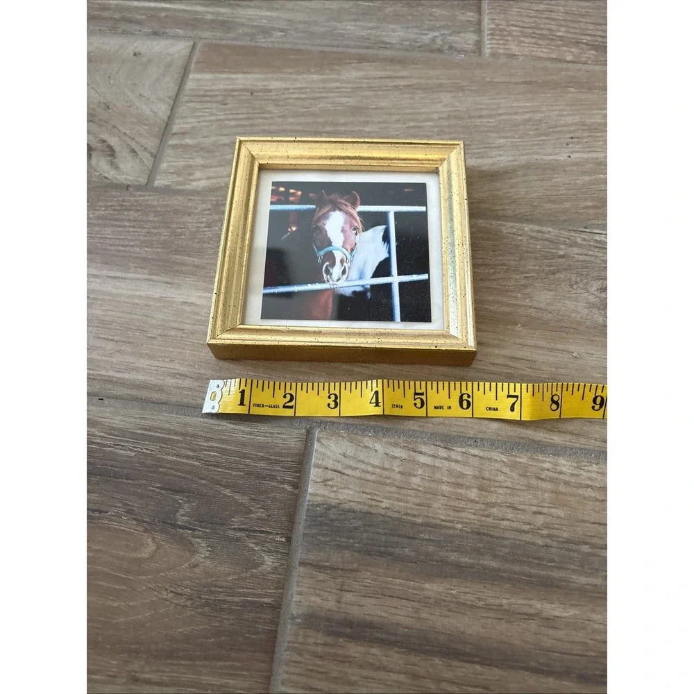 Picture‎ Frame with Horse picture Design 6